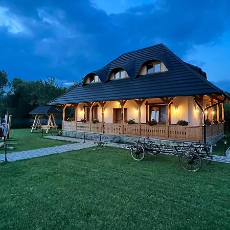 Casa Moroșanului Vișeu de Sus-3